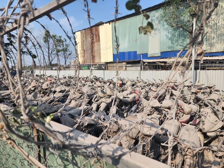 Xe máy phủ bụi xám xịt, biến dạng ở kho tạm giữ Công an quận Bình Tân -  Ảnh: NGỌC KHẢI
