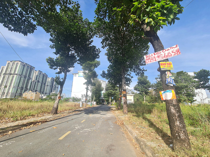 Quảng cáo bán nhà đất cả trên cây lẫn trên mặt đường ở khu Thạnh Mỹ Lợi , TP Thủ Đức