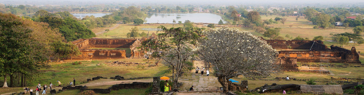 Cây đại khổng lồ tại Đền thờ Vat Phou, một tổ hợp tôn giáo Khmer Hindu tại vùng Nam Lào (Ảnh: Wiki Commons) 