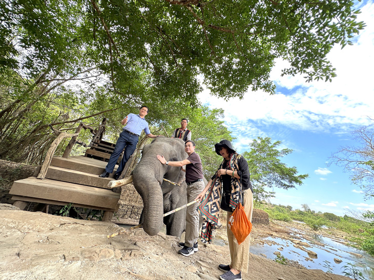 Đoàn du khách không cưỡi voi và vui vẻ khiến chú voi cũng thân thiện, “chịu chụp” chung rất nhiều kiểu ảnh - Ảnh: TRUNG TÂN