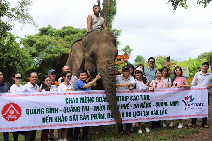 Đoàn du khách miền Trung hào hứng với mô hình du lịch “cười cùng voi” tại Buôn Đôn - Ảnh: TRUNG TÂN 