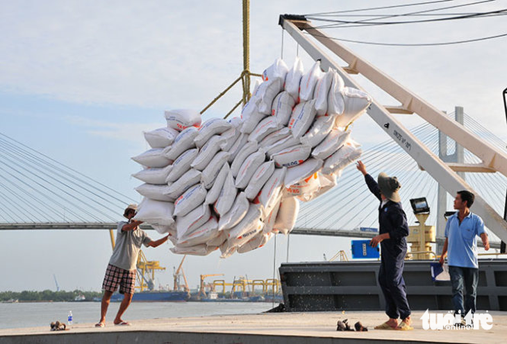 Giá gạo Việt Nam có thời điểm cao nhất thế giới, nông dân lời hơn 100% - Ảnh 3.