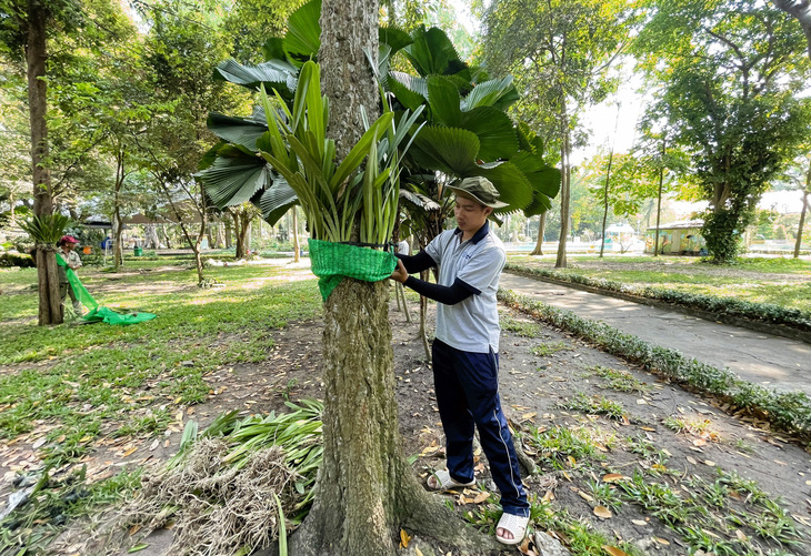Thảo cầm viên Sài Gòn tiếp nhận 2,5 tấn lan rừng để bảo tồn - Ảnh 2.