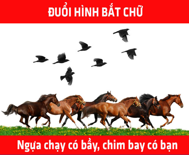 Câu tục ngữ khó nhằn này là gì? - Ảnh 3.