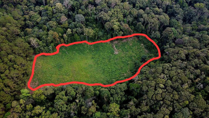 Lô đất được rao bán nằm lọt thỏm giữa khu rừng tự nhiên - Ảnh: Trên Facebook A.V