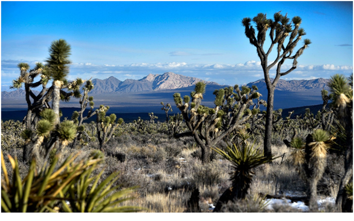 Mỹ công nhận 2 khu bảo tồn thiên nhiên hoang dã là di tích quốc gia