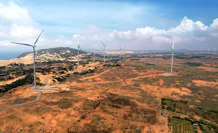 Một dự án điện gió tại Bình Thuận có một số tuốc bin phải đàm phán giá điện - Ảnh: NGỌC HIỂN