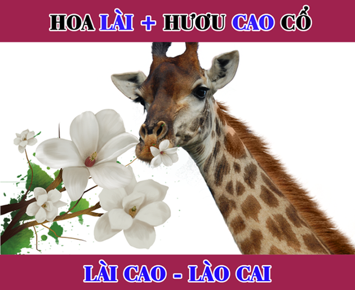 Đuổi hình bắt chữ: Đây là tỉnh thành nào của nước ta? - Ảnh 6.