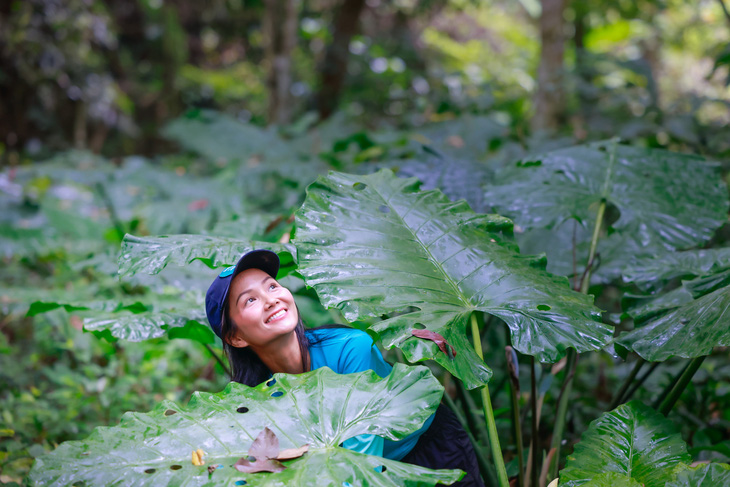 Hoa hậu H’Hen Niê tiếp tục trồng 3ha rừng vào tháng 4 - Ảnh 1.