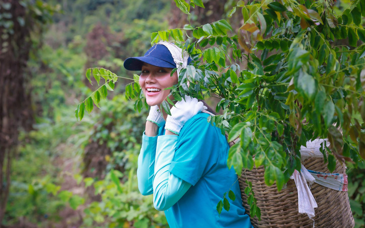 Hoa hậu H’Hen Niê tiếp tục trồng 3ha rừng vào tháng 4