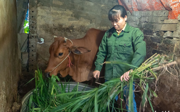 Chương trình 'Tiếp Sức Nhà Nông' trao hơn 1,8 tỉ đồng vốn vay cho nông dân Gia Lai