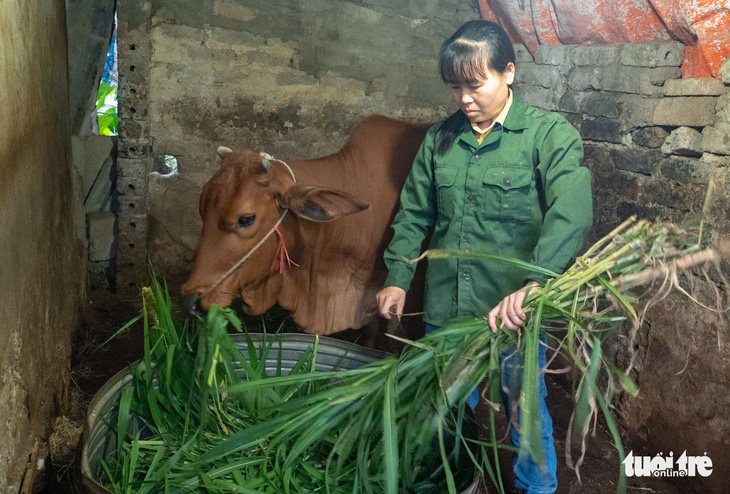 “Tiếp Sức Nhà Nông” đã giúp cải thiện sinh kế cho 2.460 hộ nông dân tại 22 tỉnh, thành trên khắp cả nước - Ảnh: TTO