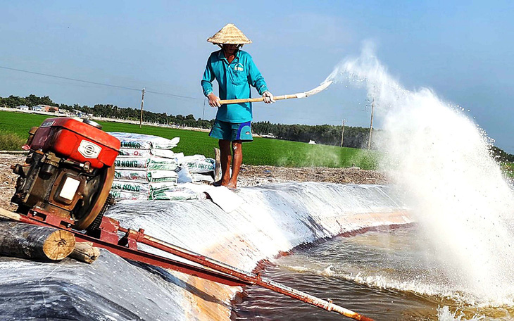 Xử phạt nhiều trường hợp tự phát nuôi tôm ở Đồng Tháp Mười, tiếp tục siết chặt quản lý - Ảnh 2.