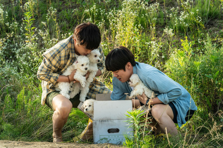 Yoo Yeon Seok, Cha Tae Hyun tuyển sen cho boss cực hài trong My puppy - Ảnh 6.