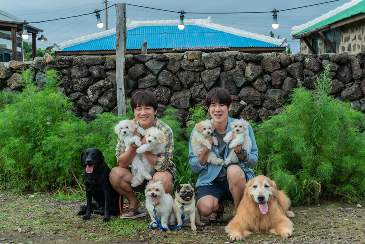 Yoo Yeon Seok, Cha Tae Hyun tuyển sen cho boss cực hài trong My puppy - Ảnh 7.