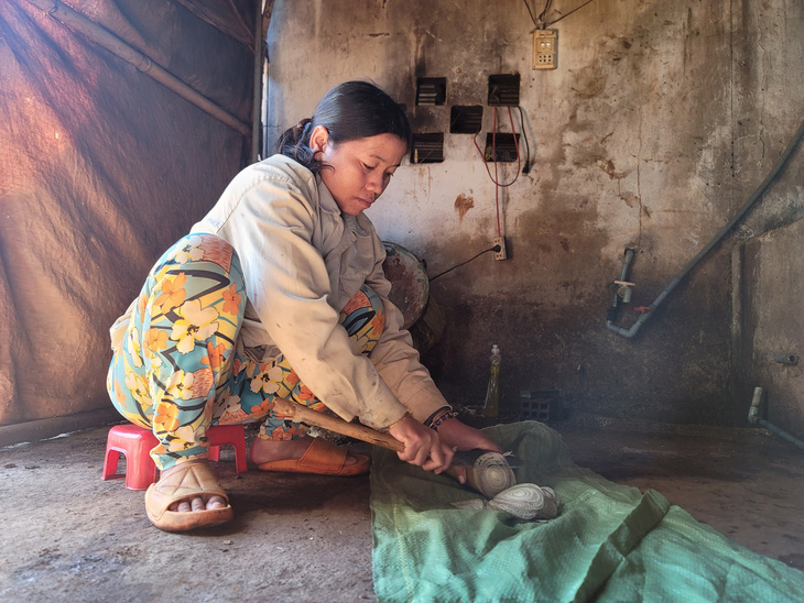 Vợ chồng chị Muêh thay nhau đi làm thuê và trông con nhỏ, chăn nuôi heo sinh sản kiếm thêm thu nhập - Ảnh: TRẦN HƯỚNG