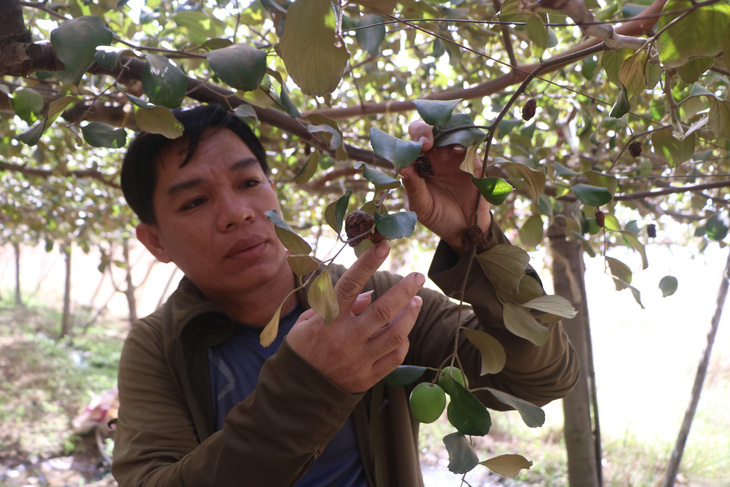 Đề nghị chủ đầu tư hỗ trợ bà con bị ảnh hưởng vì bụi công trình cao tốc - Ảnh 1.