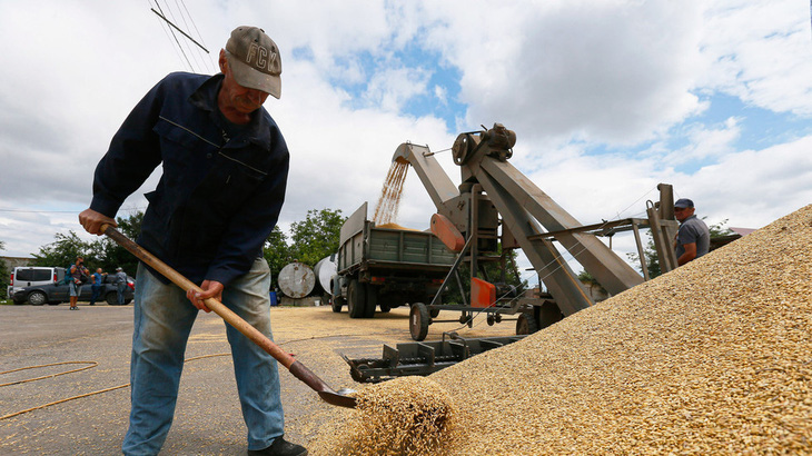 Slovakia tiêu hủy 1.500 tấn ngũ cốc của Ukraine - Ảnh 1.