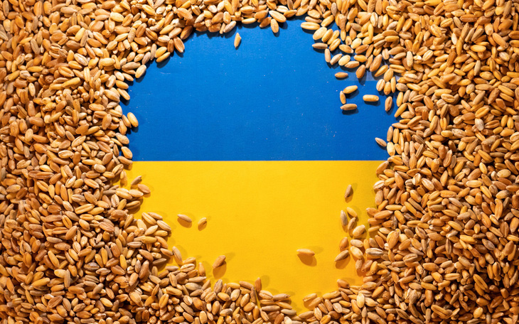 Ủy ban châu Âu phản đối Ba Lan, Hungary cấm ngũ cốc Ukraine