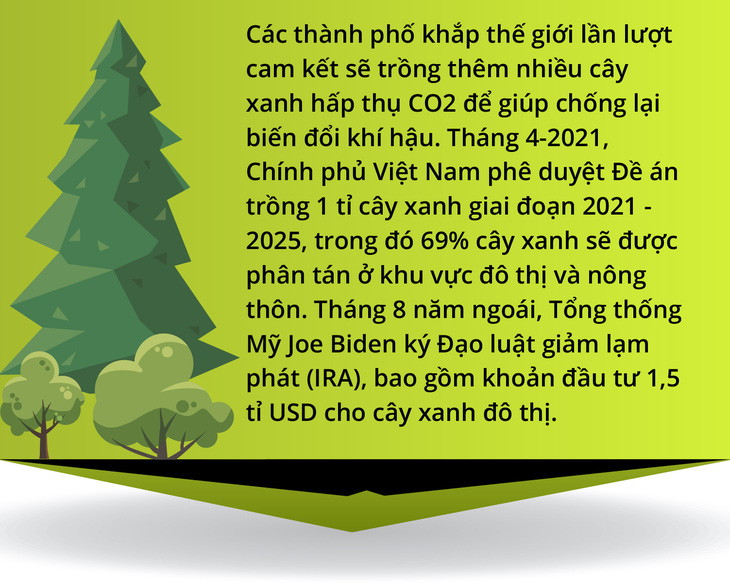 Cây xanh đô thị - “đọc vị” tương lai - Ảnh 10.