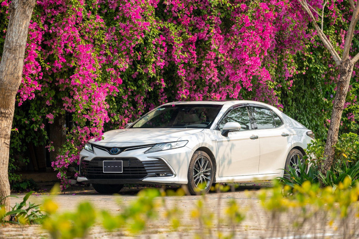 Toyota nỗ lực giảm phát thải carbon bằng phương thức tiếp cận đa chiều - Ảnh 1.