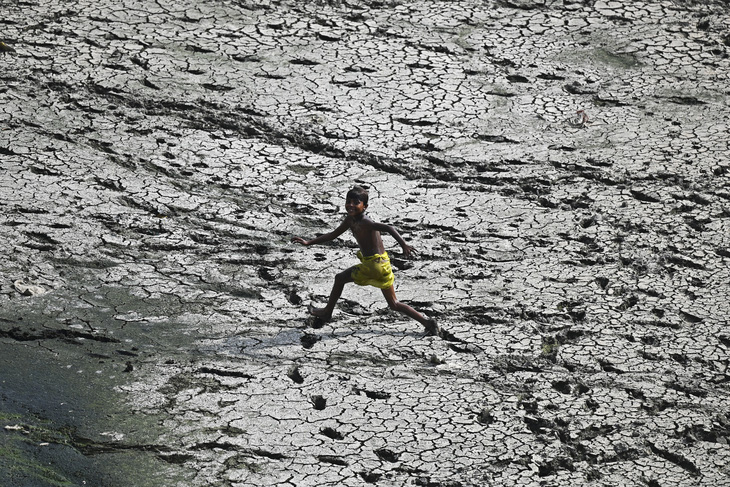 Lòng sông Yamuna khô hạn ở Ấn Độ - Ảnh: AFP