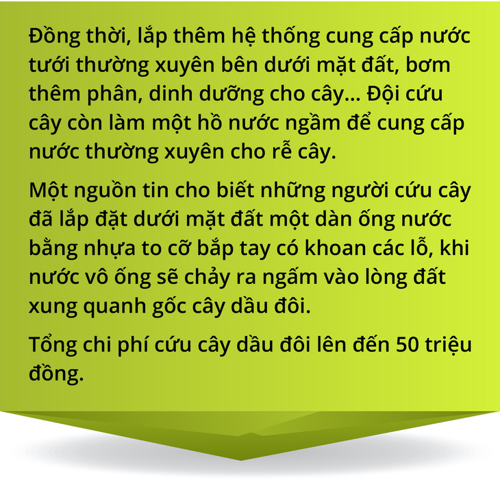 Cây xanh đô thị - “đọc vị” tương lai - Ảnh 35.