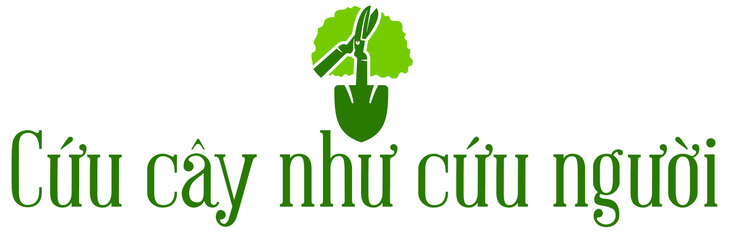 Cây xanh đô thị - “đọc vị” tương lai - Ảnh 34.