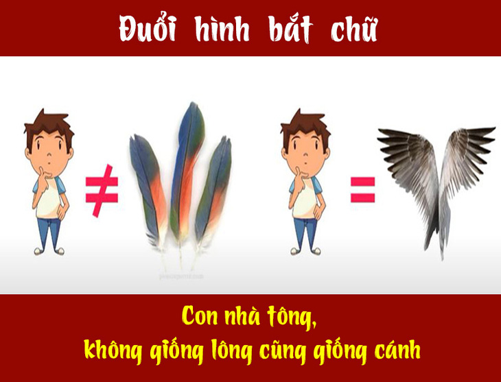 Người hiểu biết có nhận ra đây là câu thành ngữ, tục ngữ nào? - Ảnh 9.