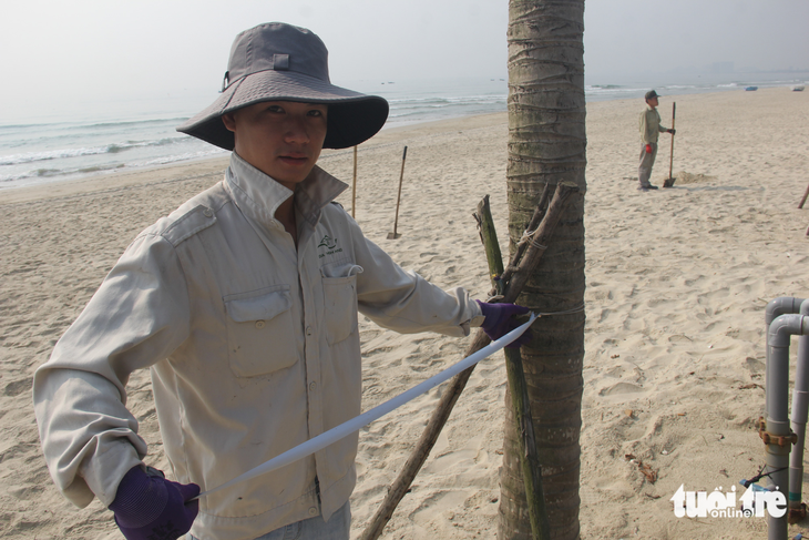 Công nhân thực hiện trồng dừa tại khu vực biển phía đông để tạo không gian mới lạ