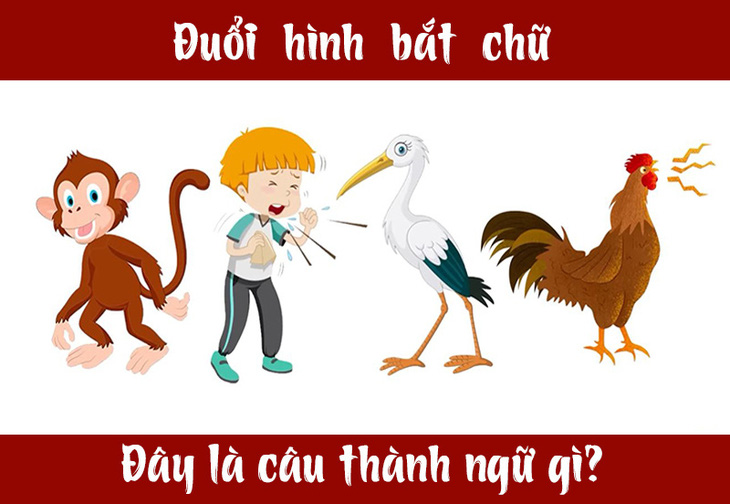 Câu tục ngữ, thành ngữ khó nhằn này là gì? (P4) - Ảnh 7.