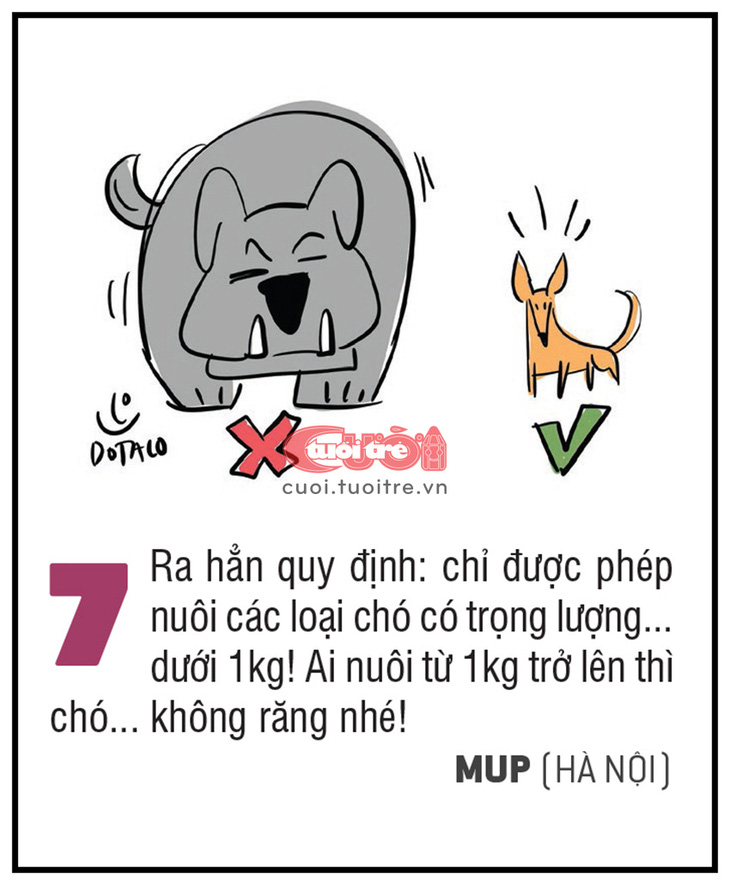 10 biện pháp kịch độc đối phó chó thả rông - Ảnh 7.