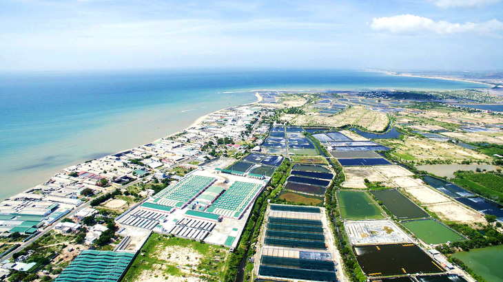Khu nuôi tôm của Công ty TNHH đầu tư thủy sản Nam Miền Trung ở tỉnh Bình Thuận - Ảnh: N.M.T.