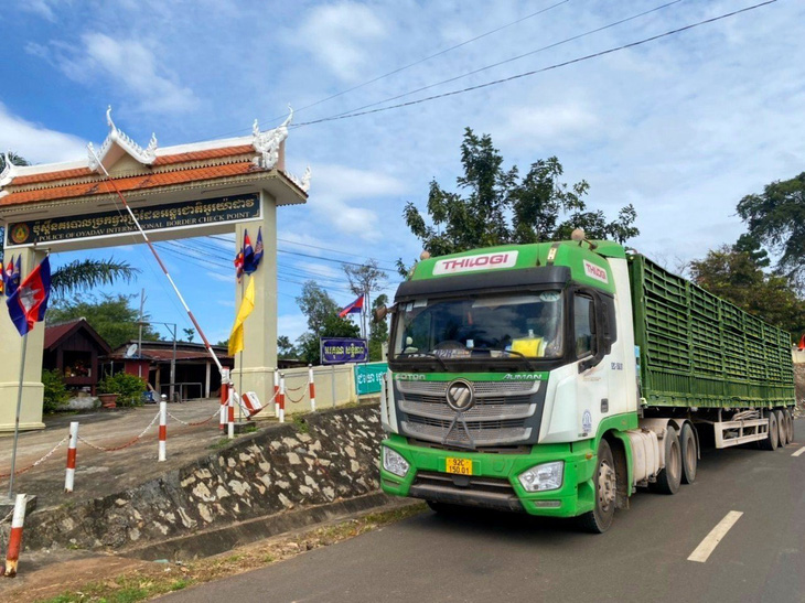 Vận chuyển gia súc xuyên biên giới từ Gia Lai (Việt Nam) đến KLH Koun Mom (Campuchia)