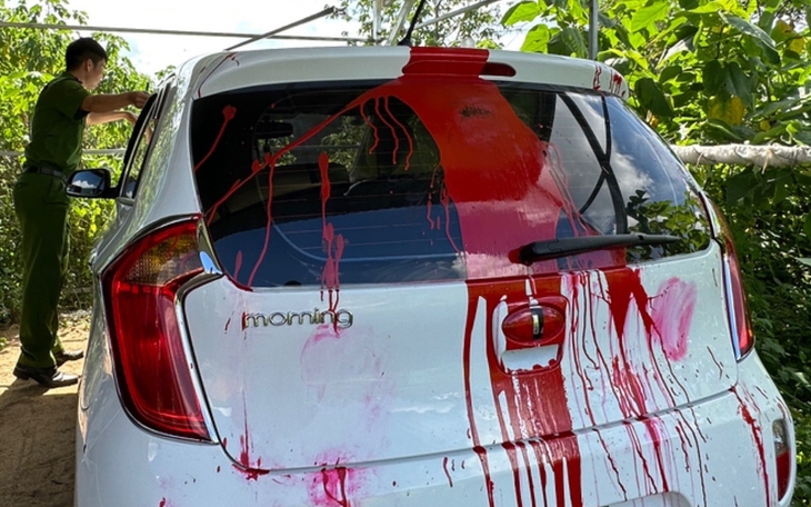Vụ xe gia đình phóng viên Tuổi Trẻ bị tạt sơn: Cơ quan cảnh sát điều tra đã khởi tố vụ án