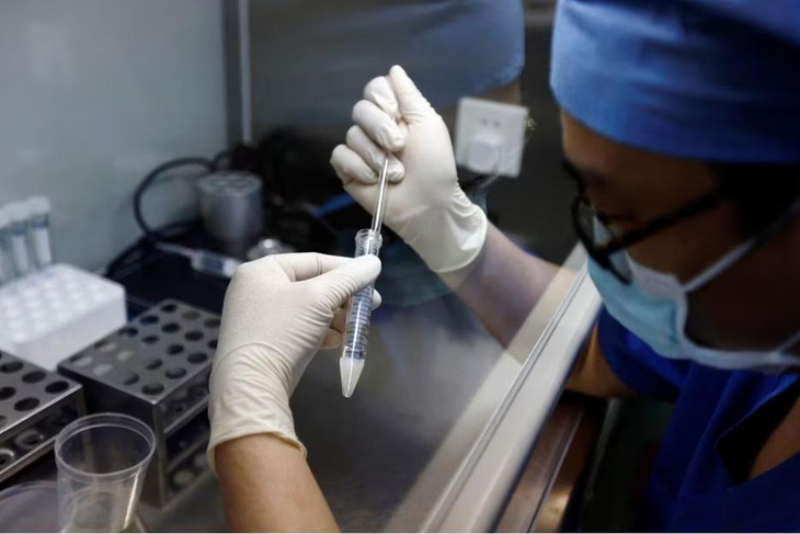 Quá trình bác sĩ trích xuất tinh dịch trong phòng thí nghiệm - Ảnh: REUTERS