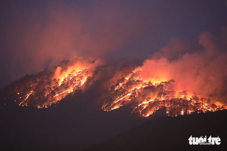 Cháy rừng phòng hộ đèo Prenn Đà Lạt - Ảnh 1.