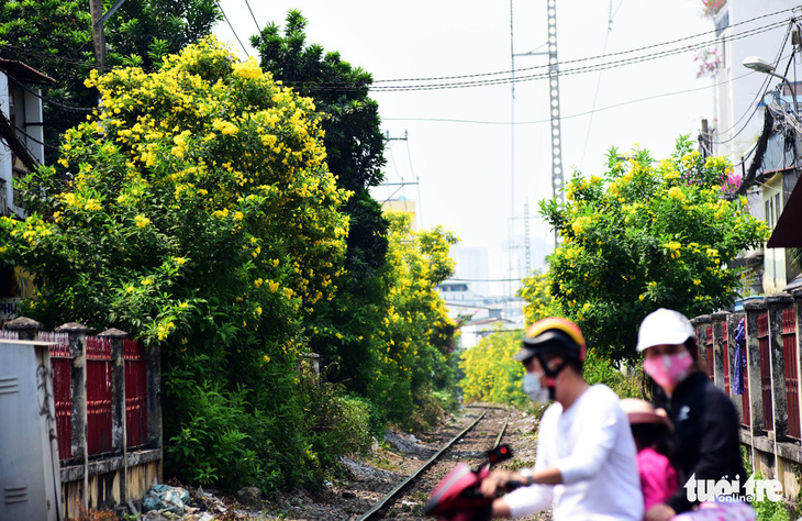 Biến đường sắt thành đường hoa dài nhất Việt Nam - Ảnh 5.