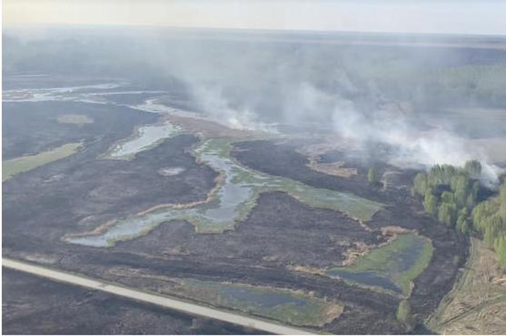 Cháy rừng lan rộng tại nhiều khu vực ở Nga - Ảnh 2.