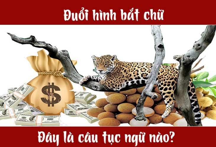 Câu tục ngữ, thành ngữ khó nhằn này là gì? (P9) - Ảnh 1.