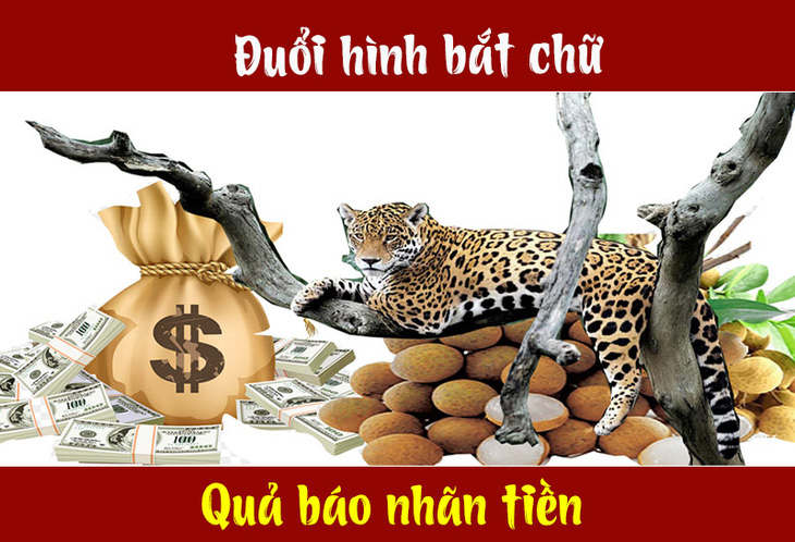 Câu tục ngữ, thành ngữ khó nhằn này là gì? (P9) - Ảnh 3.