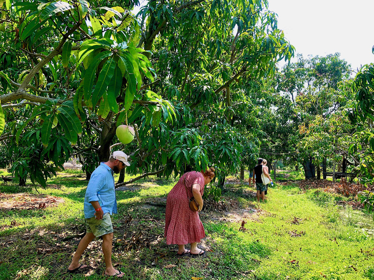 Doanh nghiệp kết nối, tour vườn xoài Khánh Hòa hút khách - Ảnh 7.