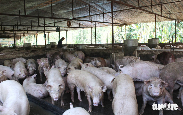 Ngân hàng Nhà nước đề nghị hiệp hội chăn nuôi cho biết chủ trang trại nào chưa được hỗ trợ lãi suất - Ảnh 1.