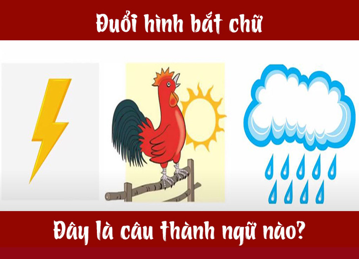 Câu tục ngữ, thành ngữ khó nhằn này là gì? (P11) - Ảnh 4.