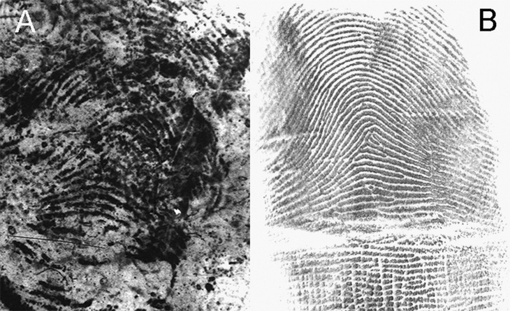 Dấu vân chìm trên túi đựng kíp nổ được xác định nhầm là vân tay của Mayfield (a) và dấu vân tay của Mayfield lưu trong cơ sở dữ liệu của FBI - Ảnh: onin.com.