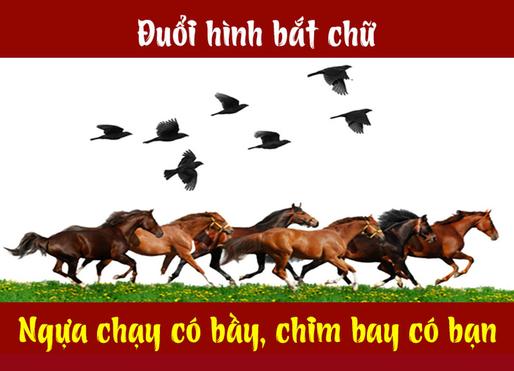 Câu tục ngữ, thành ngữ khó nhằn này là gì? (P11) - Ảnh 3.