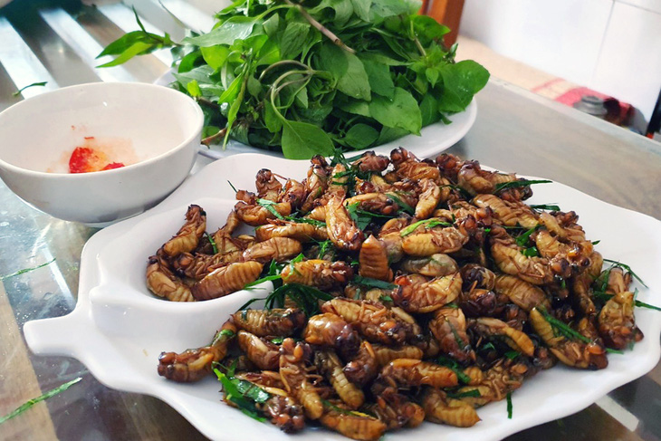 Ve sầu là đặc sản dùng chế biến món ăn tại một số vùng miền - Ảnh: THU HIẾN