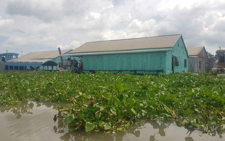 Triển khai dự án làng bè sắc màu ngã ba sông Châu Đốc