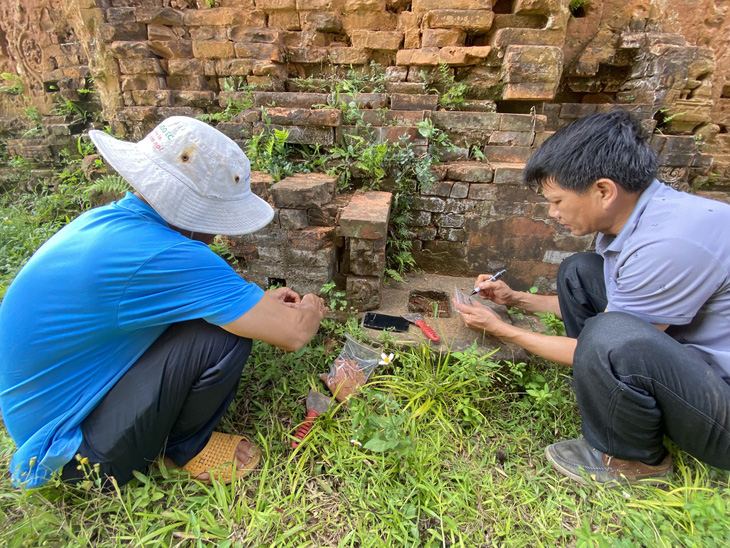 Nhân viên của đơn vị thi công lấy mẫu gạch ở tháp Chăm Khương Mỹ để kiểm tra - Ảnh: LÊ TRUNG