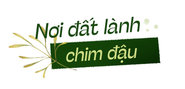 Vẫn còn đó một TP.HCM đất lành chim đậu